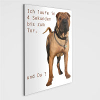 Boxer Hunde Schild - ICH LAUFE IN 4 SEKUNDEN.. !